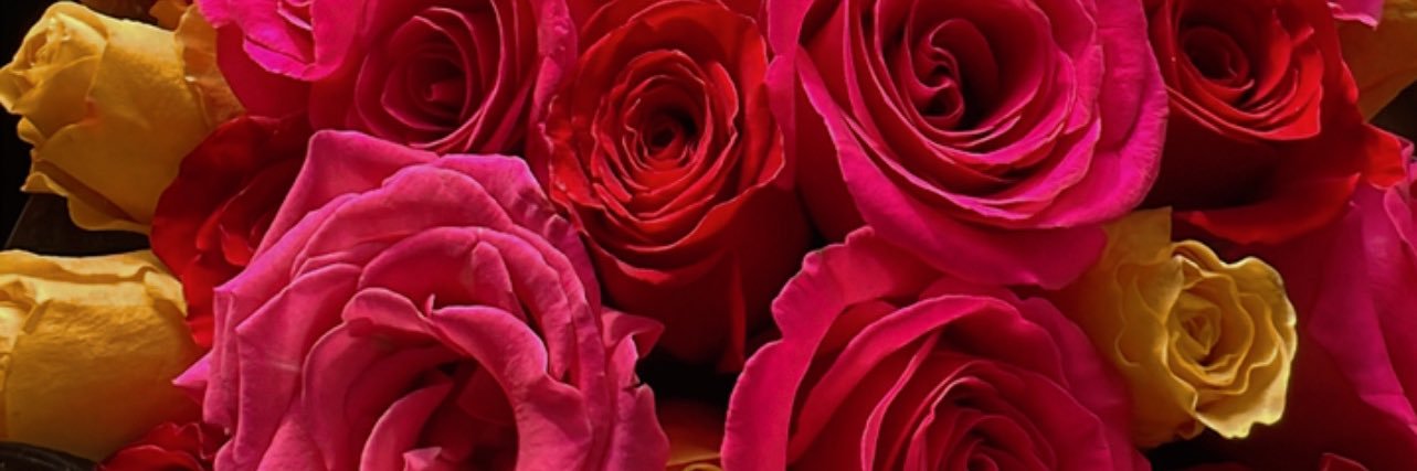 Suley's banner