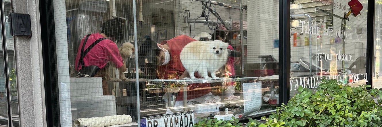かすみ_u's banner