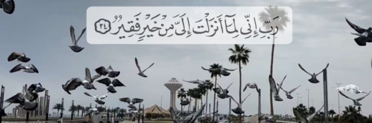 دليل فعاليات الشرقية🎗's banner