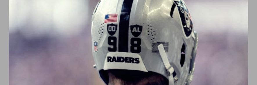Raiders History's banner