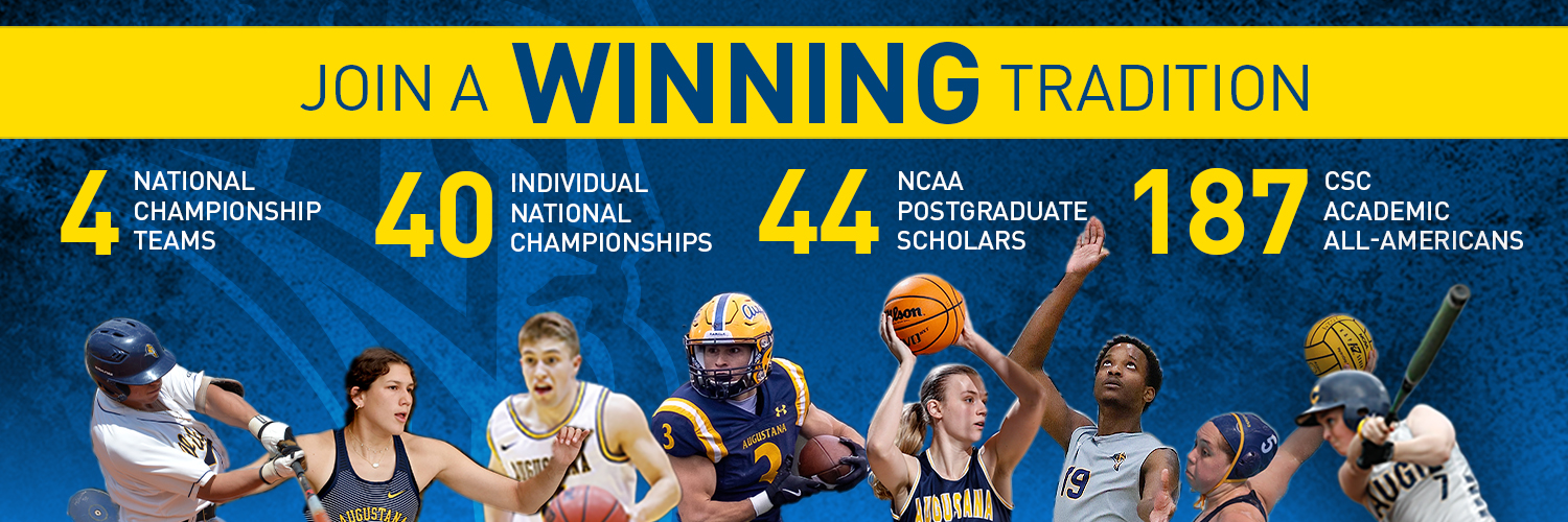Augustana Vikings's banner