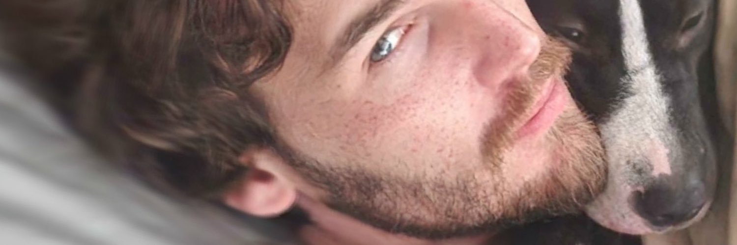 DAN D's banner