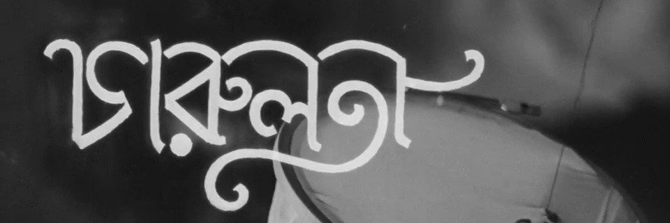 p's banner