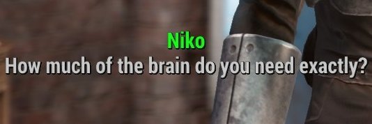 Niko Nakar's banner