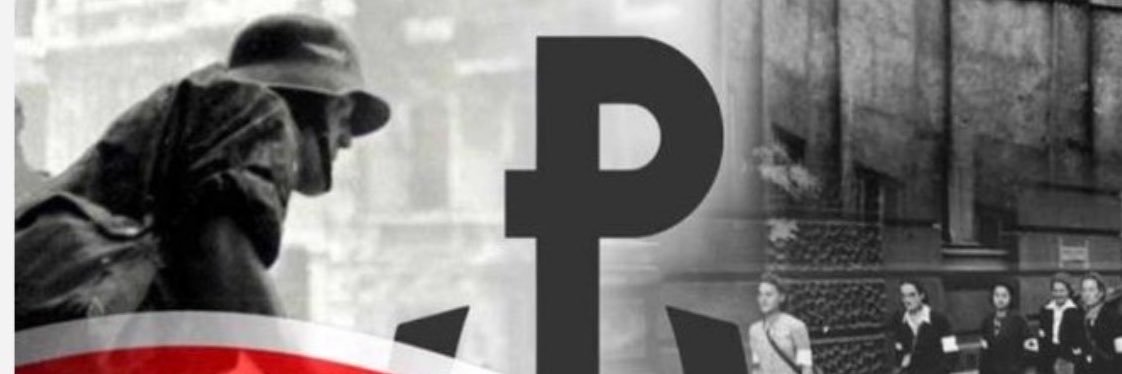 Piotr Woyciechowski 🇵🇱's banner