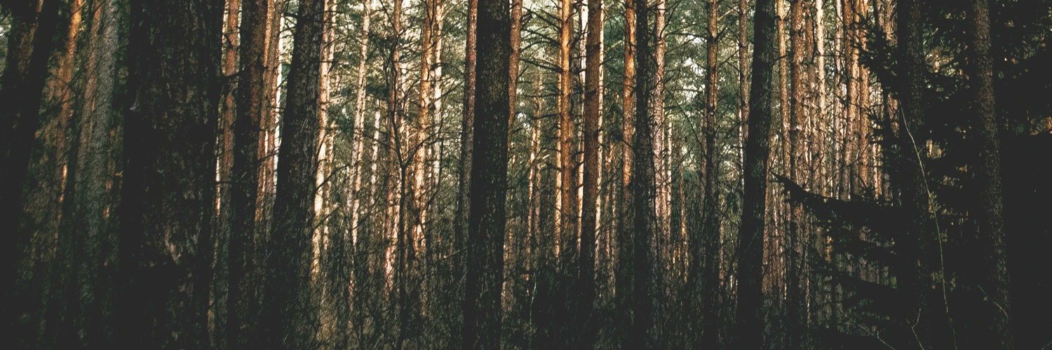Bigfoot's banner