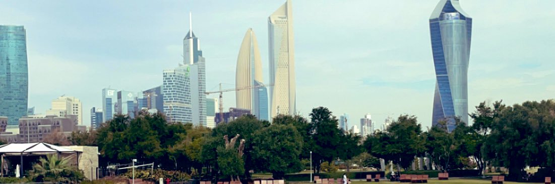 د. احمد عبدالعزيز حيات's banner