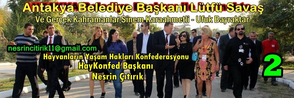 nesrin çıtırık's banner