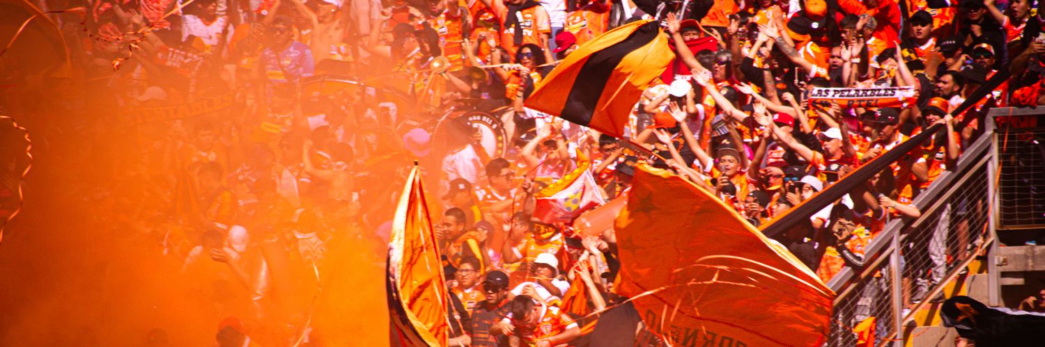 Cobreloa's banner