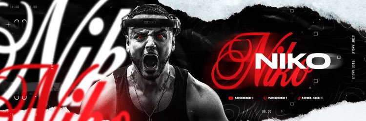 Niko's banner