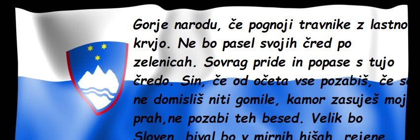 Sebastjan Špacapan's banner