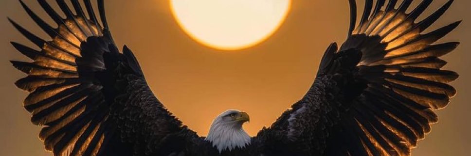 محمد الاحمدي ابو عمر's banner