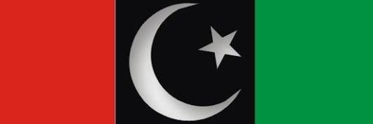 Syeda Shehla Raza's banner