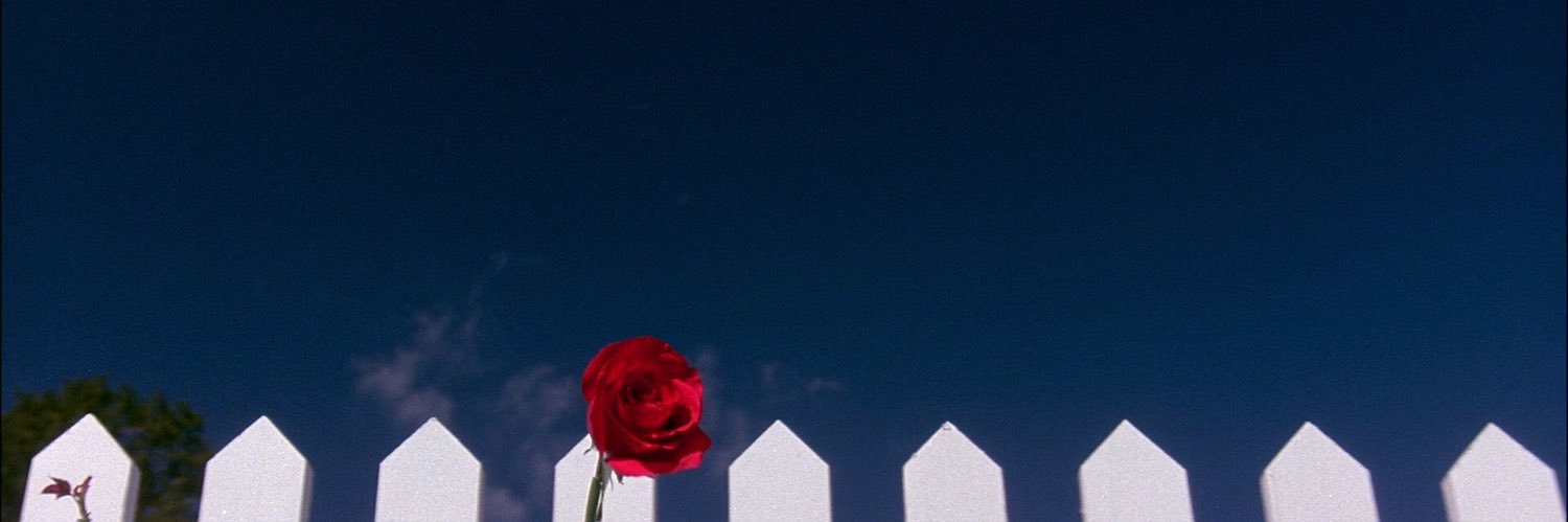 Romain Simmarano's banner