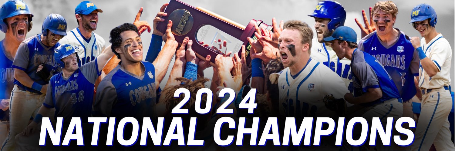 Misericordia Baseball's banner
