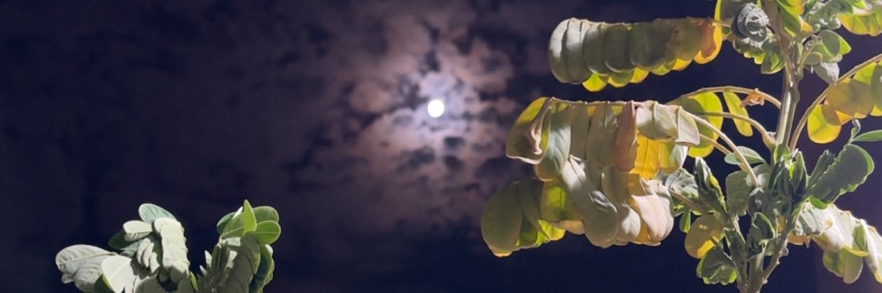بسيط's banner