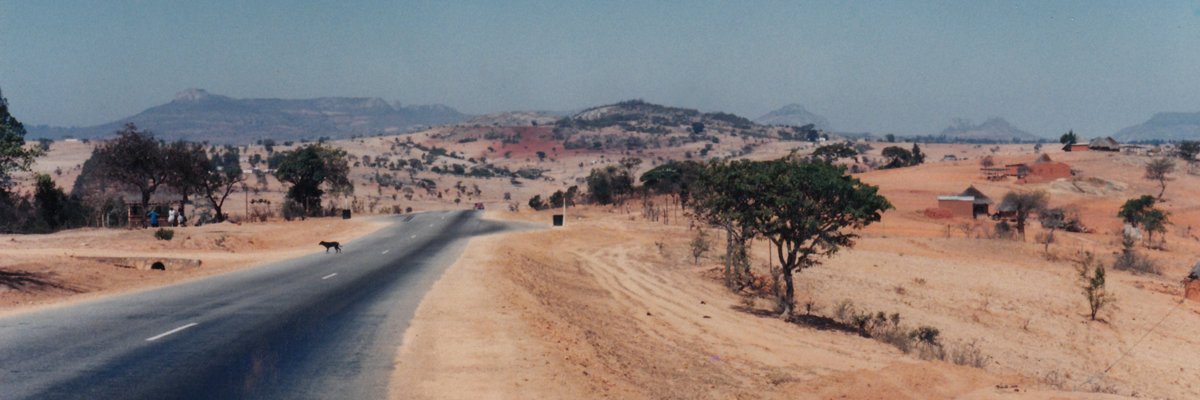 Tafi Mhaka's banner