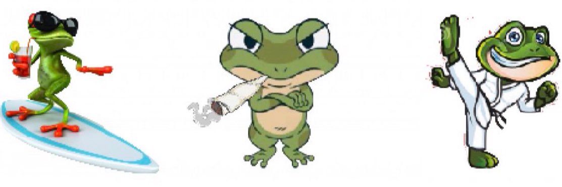 • Angry Frog ™ •'s banner
