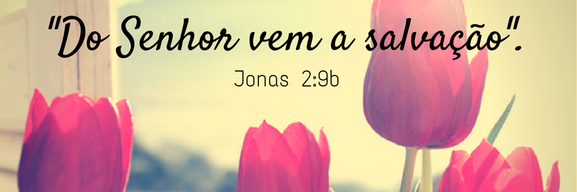 Camila Plens's banner