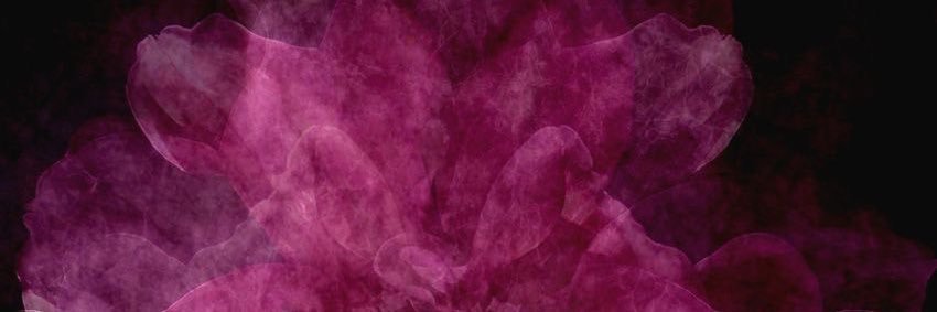em's banner