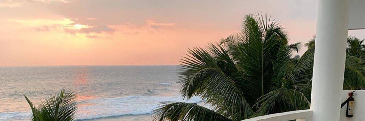Halli 🦋's banner