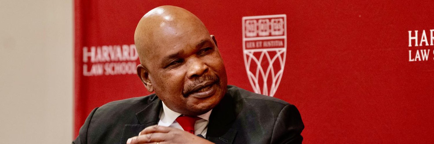 Prof Makau Mutua's banner