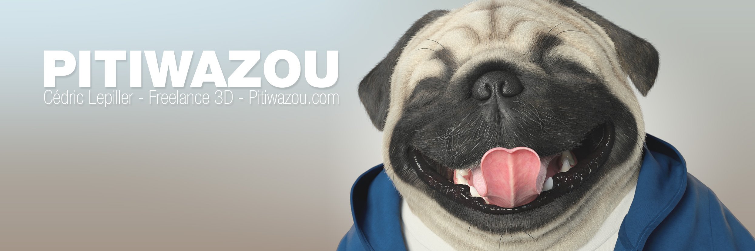 Pitiwazou 3D Freelancer's banner