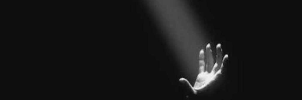ماجد عبدربه's banner