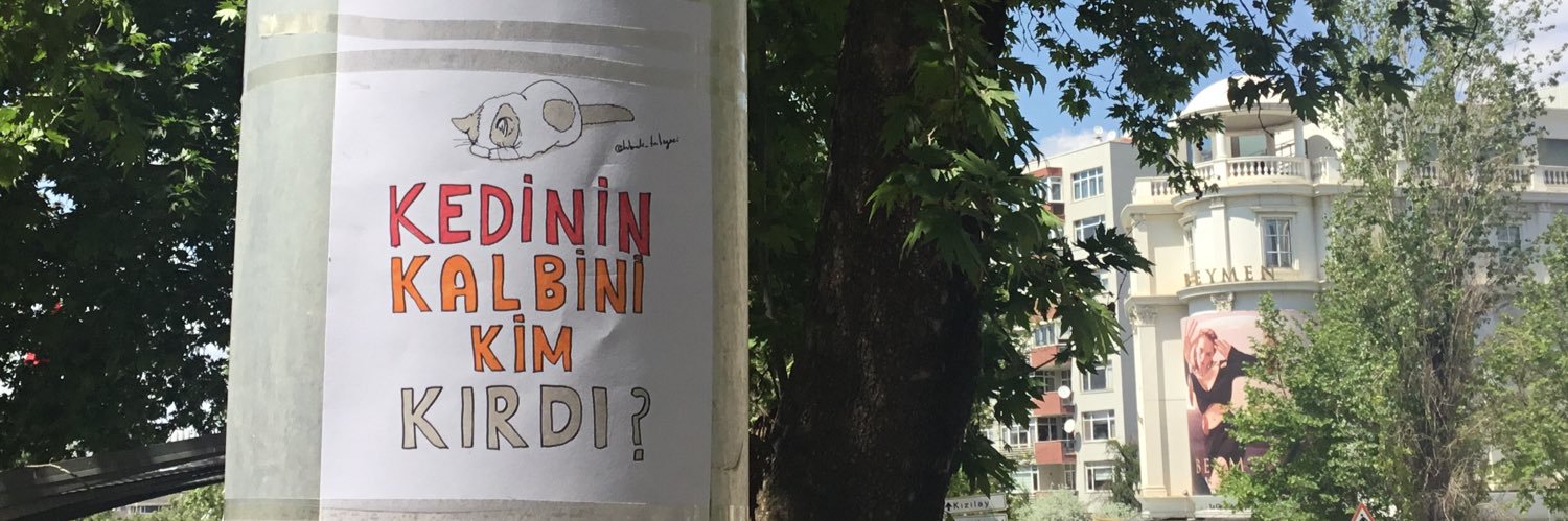 Hikmeti Tabiye'ci's banner