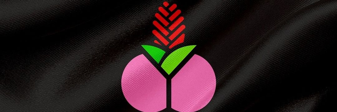 Juan Pablo's banner
