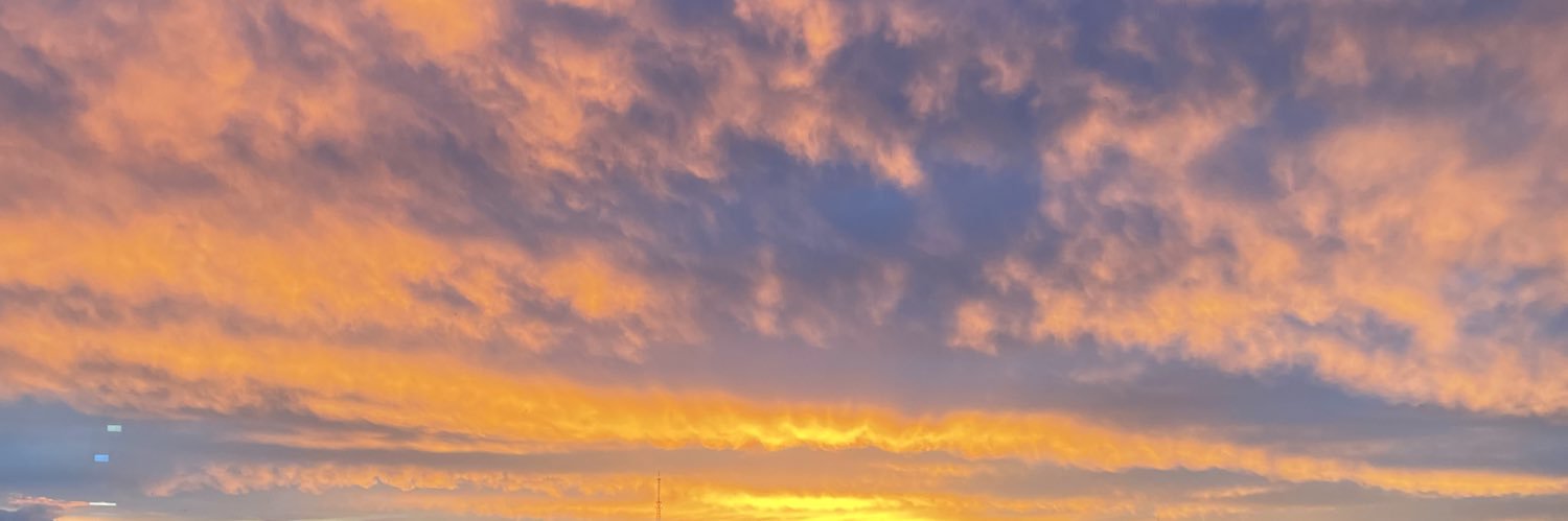 Нуна's banner