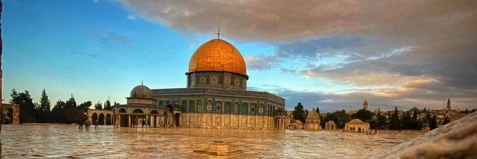 آلاء أبو حسان 🇵🇸's banner
