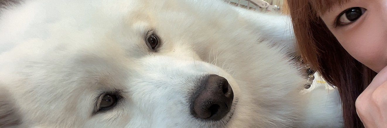 もてぎカナ👊's banner