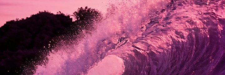 野寻 -成人短剧's banner