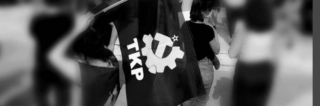 selda's banner