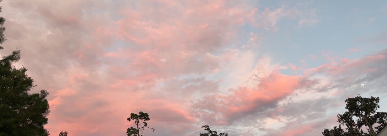 ⚜️JERRI⚜️'s banner