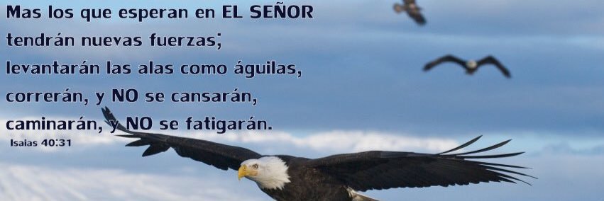 Ana Jara Velásquez 🇵🇪's banner