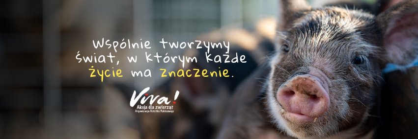 Fundacja Viva!'s banner