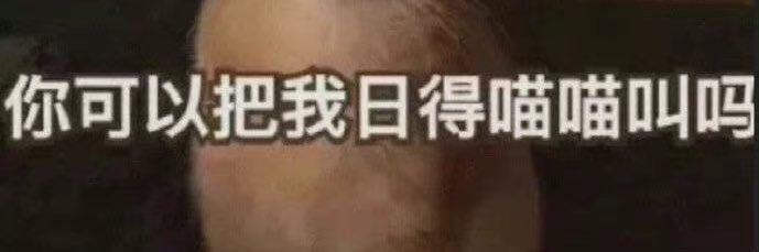 🈚️'s banner