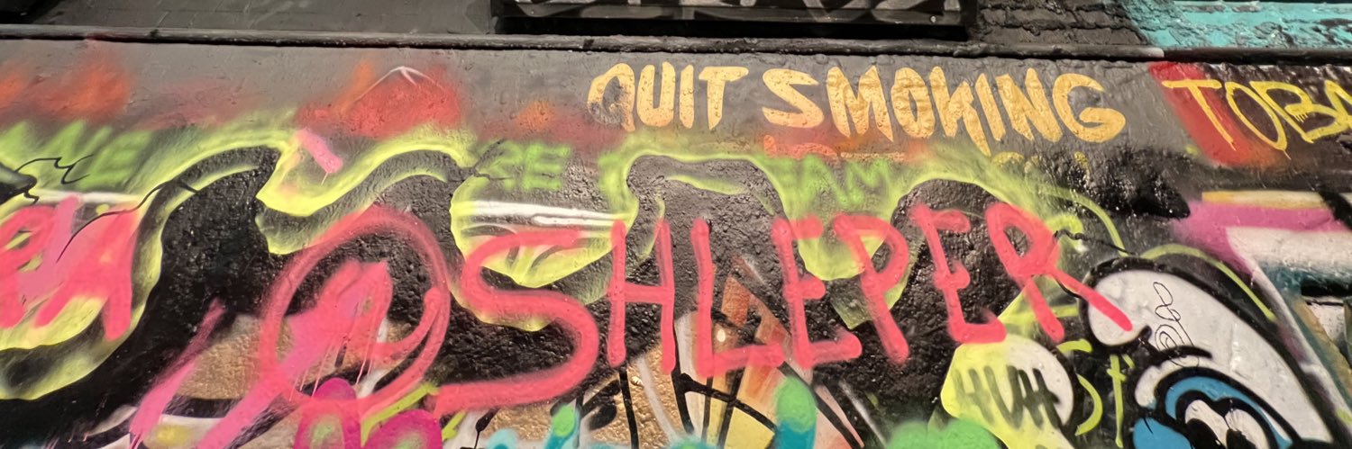 Shleper Bibas's banner