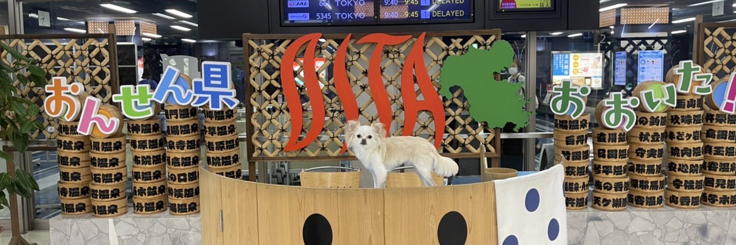 髙木由莉愛🐶♨️'s banner