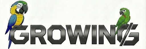 GROWING̷'s banner
