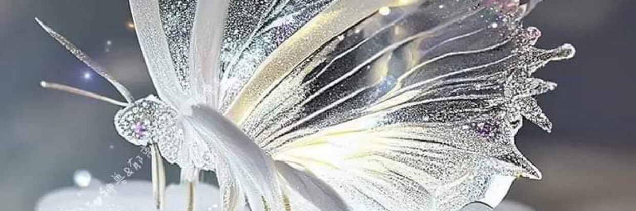 Serap Ulusoy 🦋's banner