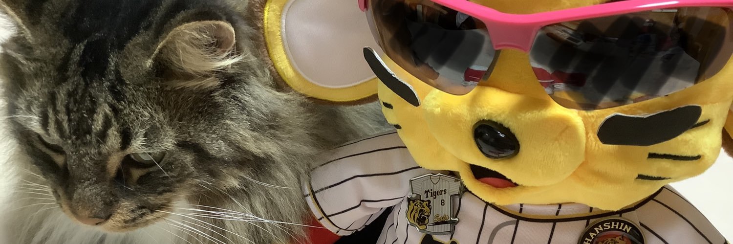 ななみかん🐯阪神 #8 佐藤輝明⚾️💫💕2026熱覇💛's banner