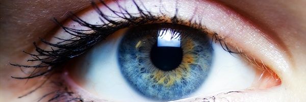 د. سالم المالكي's banner