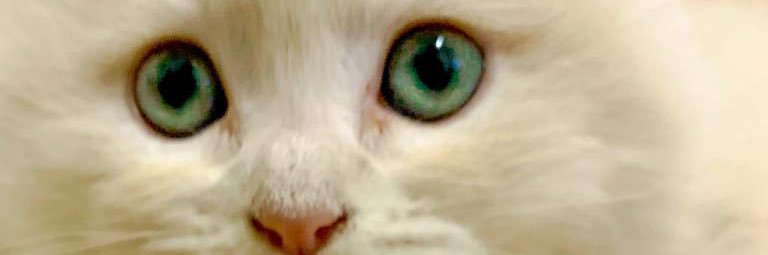 Dona Maria💎's banner