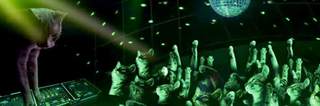 고양이 트윗 번역계猫ポスト翻訳垢🐱's banner