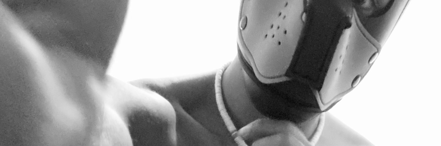 Pup_Zaki's banner