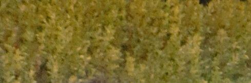 ايمان's banner