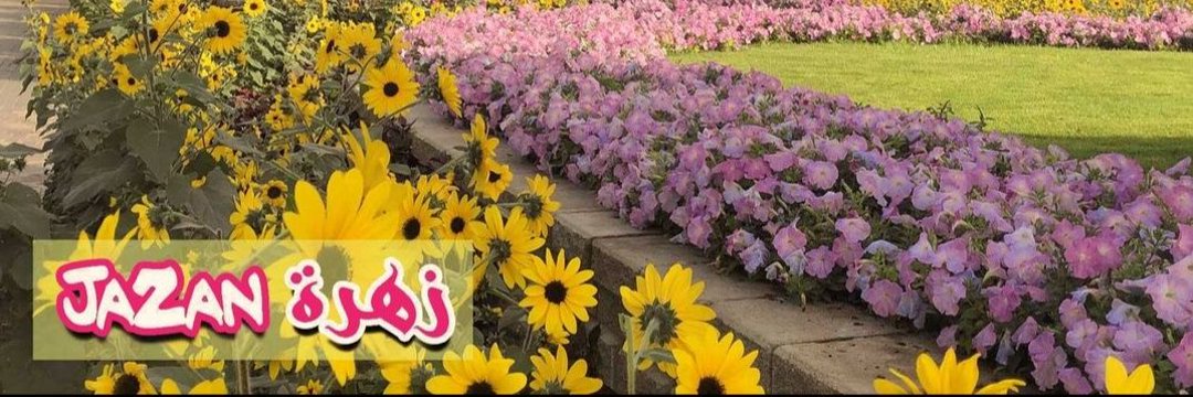 زهرة جازان 🇸🇦's banner